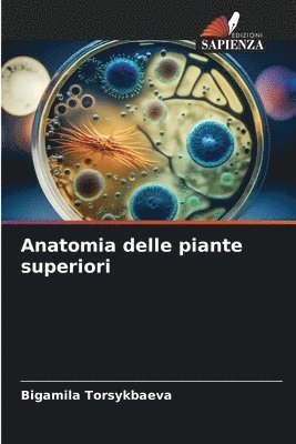 bokomslag Anatomia delle piante superiori