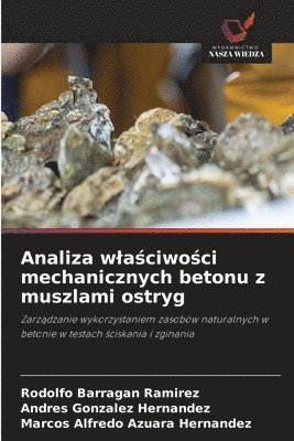 bokomslag Analiza wla&#347;ciwo&#347;ci mechanicznych betonu z muszlami ostryg