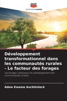 bokomslag Développement transformationnel dans les communautés rurales - Le facteur des forages