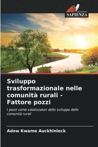 bokomslag Sviluppo trasformazionale nelle comunità rurali - Fattore pozzi