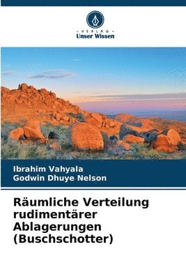 Rumliche Verteilung rudimentrer Ablagerungen (Buschschotter) 1