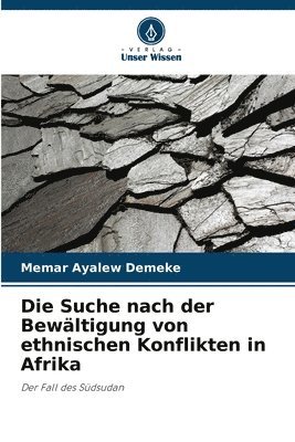 bokomslag Die Suche nach der Bewltigung von ethnischen Konflikten in Afrika