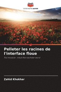 bokomslag Pelleter les racines de l'interface floue