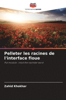 Pelleter les racines de l'interface floue 1