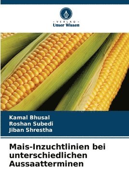 bokomslag Mais-Inzuchtlinien bei unterschiedlichen Aussaatterminen