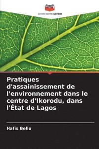 bokomslag Pratiques d'assainissement de l'environnement dans le centre d'Ikorodu, dans l'État de Lagos