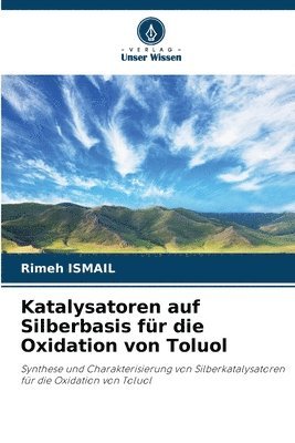 bokomslag Katalysatoren auf Silberbasis fr die Oxidation von Toluol