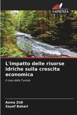 bokomslag L'impatto delle risorse idriche sulla crescita economica