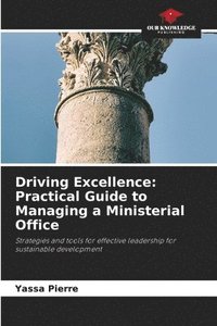 bokomslag Driving Excellence