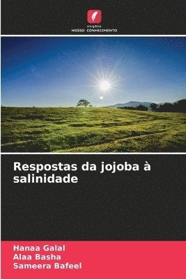 Respostas da jojoba  salinidade 1