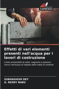 bokomslag Effetti di vari elementi presenti nell'acqua per i lavori di costruzione