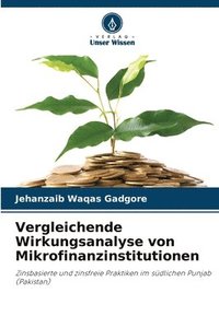 bokomslag Vergleichende Wirkungsanalyse von Mikrofinanzinstitutionen