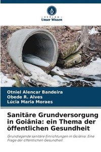 bokomslag Sanitäre Grundversorgung in Goiânia: ein Thema der öffentlichen Gesundheit