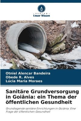 bokomslag Sanitäre Grundversorgung in Goiânia: ein Thema der öffentlichen Gesundheit