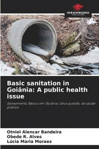 bokomslag Basic sanitation in Goiânia: A public health issue