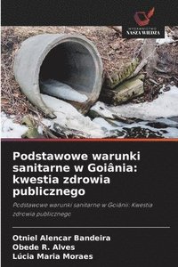 bokomslag Podstawowe warunki sanitarne w Goiânia: kwestia zdrowia publicznego