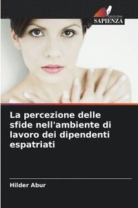 bokomslag percezione delle sfide nell'ambiente di lavoro dei dipendenti espatriati