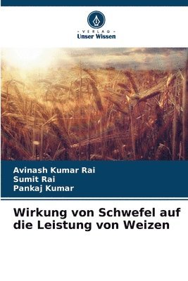 Wirkung von Schwefel auf die Leistung von Weizen 1