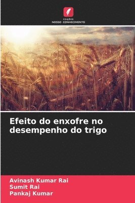 bokomslag Efeito do enxofre no desempenho do trigo