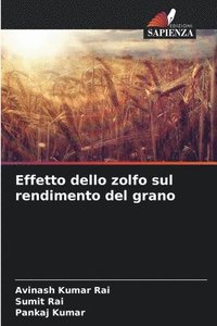 bokomslag Effetto dello zolfo sul rendimento del grano