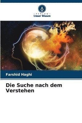 bokomslag Suche nach dem Verstehen