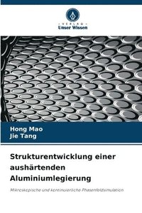 bokomslag Strukturentwicklung einer aushrtenden Aluminiumlegierung