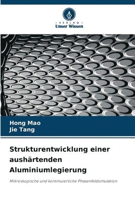 bokomslag Strukturentwicklung einer aushärtenden Aluminiumlegierung