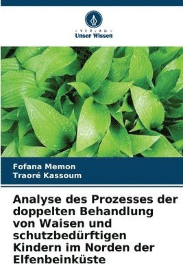 bokomslag Analyse des Prozesses der doppelten Behandlung von Waisen und schutzbedürftigen Kindern im Norden der Elfenbeinküste