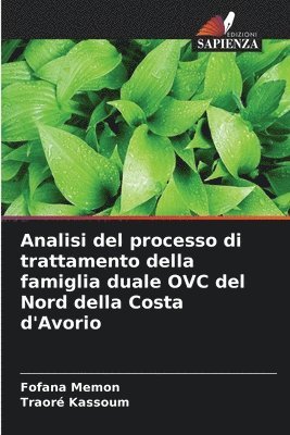 bokomslag Analisi del processo di trattamento della famiglia duale OVC del Nord della Costa d'Avorio