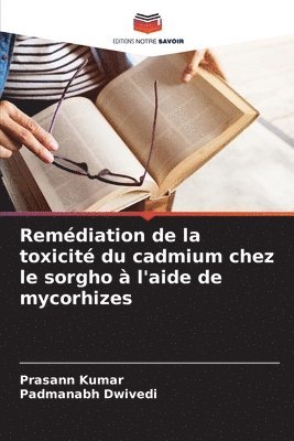 Prasann Kumar, Padmanabh Dwivedi - Remédiation de la toxicité du cadmium chez le sorgho à l'aide de mycorhizes, Häftad