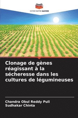 bokomslag Clonage de gènes réagissant à la sécheresse dans les cultures de légumineuses