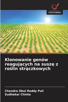 Klonowanie genw reaguj&#261;cych na susz&#281; z ro&#347;lin str&#261;czkowych 1