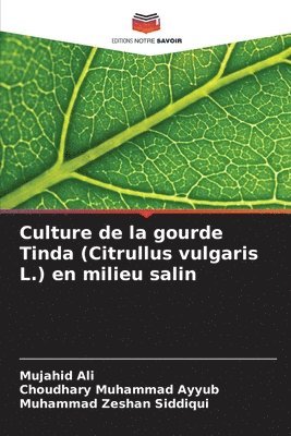 bokomslag Culture de la gourde Tinda (Citrullus vulgaris L.) en milieu salin