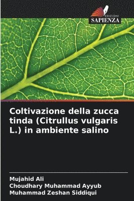 bokomslag Coltivazione della zucca tinda (Citrullus vulgaris L.) in ambiente salino