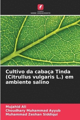 Cultivo da cabaa Tinda (Citrullus vulgaris L.) em ambiente salino 1