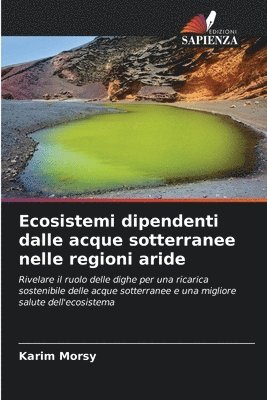 bokomslag Ecosistemi dipendenti dalle acque sotterranee nelle regioni aride