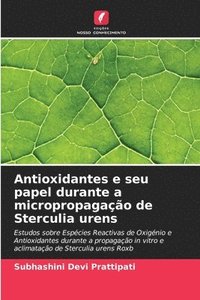 bokomslag Antioxidantes e seu papel durante a micropropagao de Sterculia urens