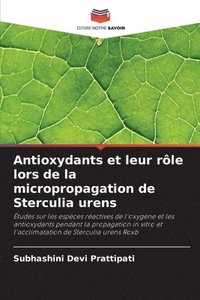 bokomslag Antioxydants et leur rôle lors de la micropropagation de Sterculia urens