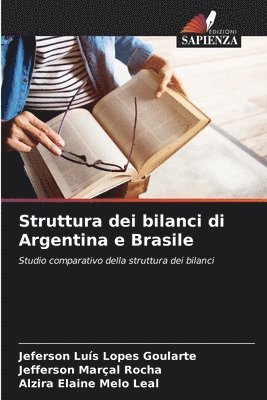 bokomslag Struttura dei bilanci di Argentina e Brasile