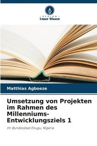 bokomslag Umsetzung von Projekten im Rahmen des Millenniums-Entwicklungsziels 1