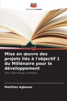 bokomslag Mise en oeuvre des projets lis  l'objectif 1 du Millnaire pour le dveloppement