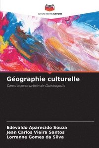 bokomslag Géographie culturelle