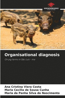 bokomslag Organisational diagnosis