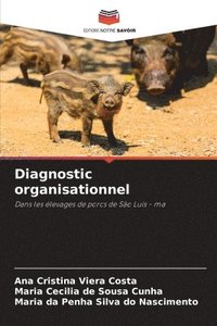 bokomslag Diagnostic organisationnel