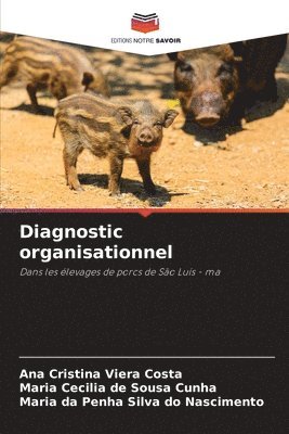 Diagnostic organisationnel 1