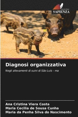 bokomslag Diagnosi organizzativa