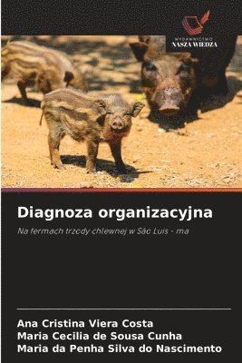 bokomslag Diagnoza organizacyjna