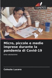 bokomslag Micro, piccole e medie imprese durante la pandemia di Covid-19