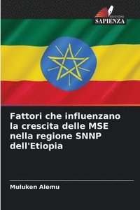 bokomslag Fattori che influenzano la crescita delle MSE nella regione SNNP dell'Etiopia