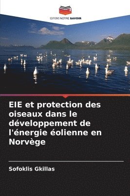 bokomslag EIE et protection des oiseaux dans le dveloppement de l'nergie olienne en Norvge